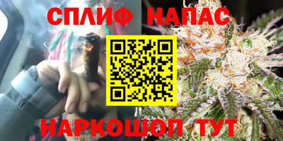 хмурый Шебекино
