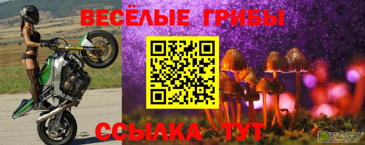 Псилоцибиновые грибы MAGIC MUSHROOMS Алейск