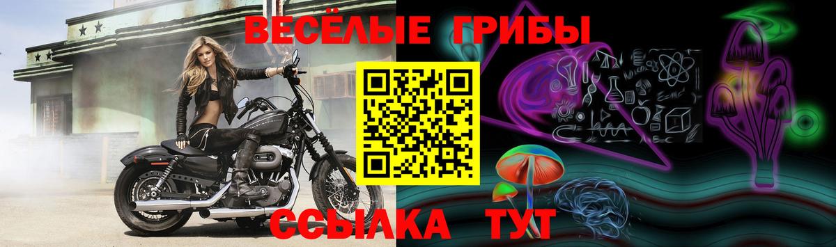 Галлюциногенные грибы Psilocybe  Галлюциногенные грибы Magic Shrooms  Вход с VPN  Алейск 